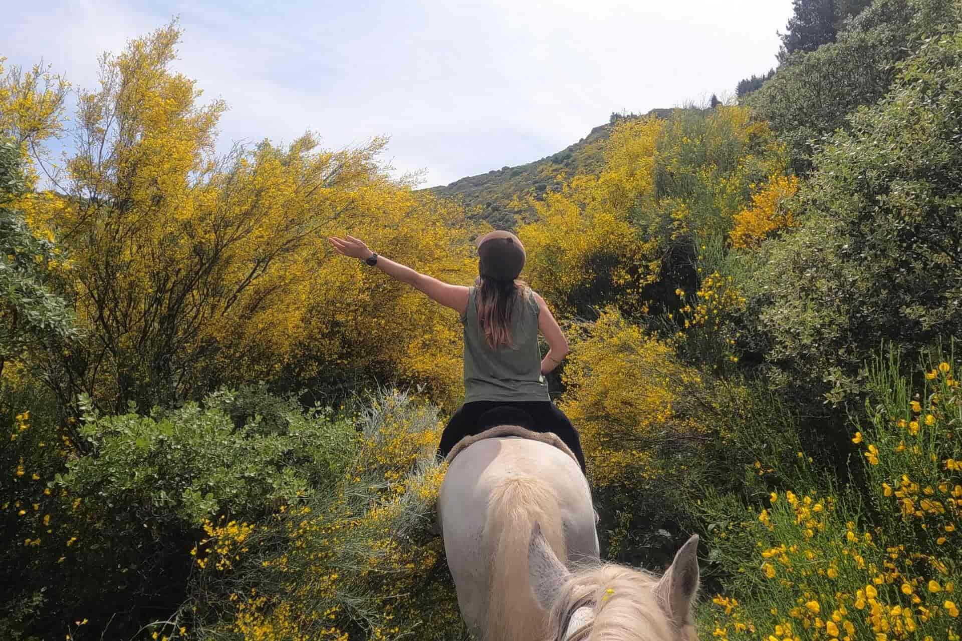 Experiencia de ruta a caballo Ponferrada