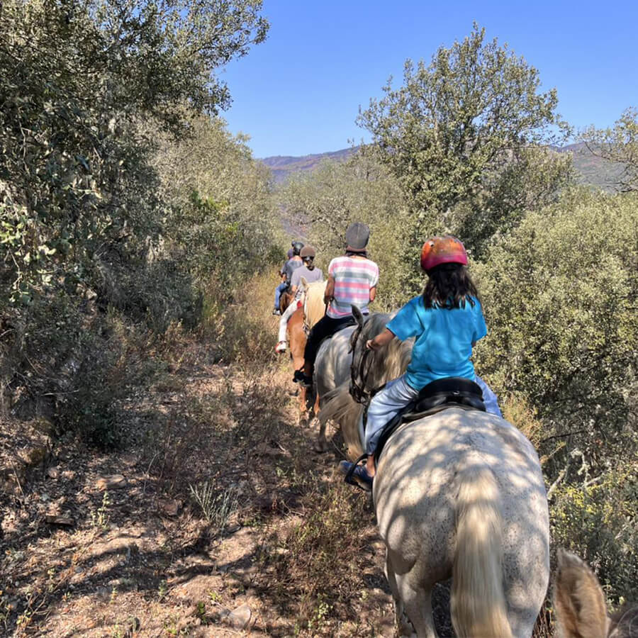 Paseo a caballo en Las Médulas 1 hora