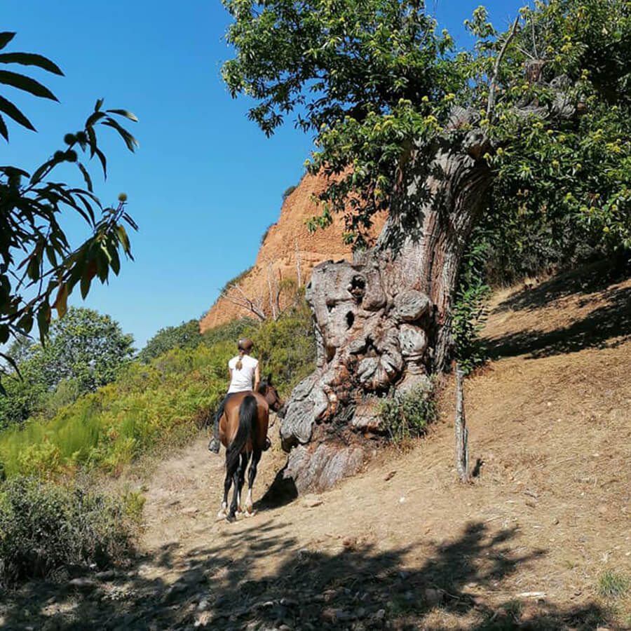 Medio día a caballo por caminos de Las Médulas